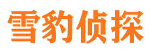 市中区市私家侦探